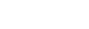 Netskope Corporate Identity